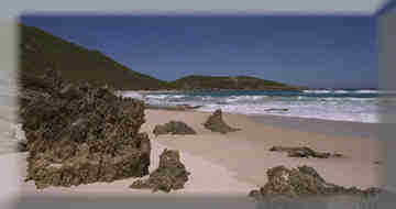 1Up Travel - Australia - Beach