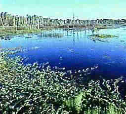 1Up Travel - Australia - kakadu national park