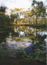 1Up Travel - Australia - nature