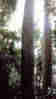1Up Travel - Australia - 