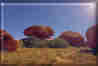 1Up Travel - Australia - 