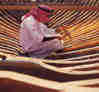 1Up Travel - Dubai - 