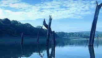1Up Travel - Kerala - thekkady , idukki