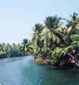 1Up Travel - Kerala - backwaters
