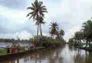 1Up Travel - Kerala - vembanad lake