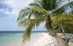 1Up Travel - Kerala - beaches