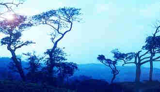 1Up Travel - Kerala - nelliyampathy mountain