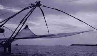 1Up Travel - Kerala - chinese fishing
