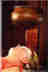1Up Travel - Kerala - 