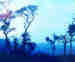 1Up Travel - Kerala - 