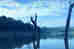 1Up Travel - Kerala - 