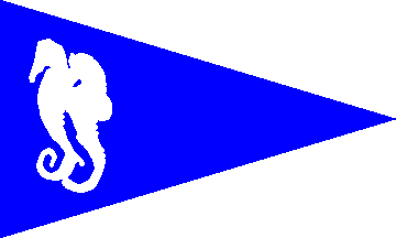 [Clube Naval de Ponta Delgada flag]