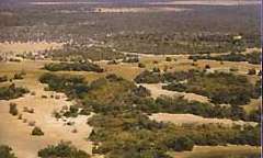 Moremi Game Reserve in Ngamiland