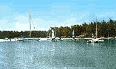 Belle Mare in Black River