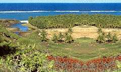 Rodrigues Island in Black River