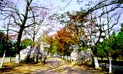 Xiaoling Tomb of the Ming Dynasty in Jiangsu