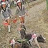 Inobuta Derby