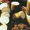 Lemang Pulut