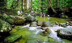 Ulu Bendul Recreational Park, Kuala Pilah in Negeri Sembilan