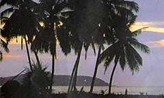 Marang in Terengganu