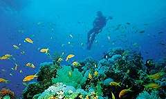 Pulau Tioman in Pahang
