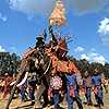 Surin Elephant Round-Up Show