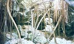 Peter's cave in Cayman Brac