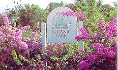 Queen Elizabeth II Botanic Park in Grand Cayman