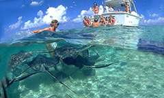Radar Reef - North Side in Grand Cayman