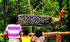 Belize Zoo and Tropical Education Center in Belize District