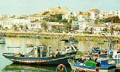 Lagos in agueda