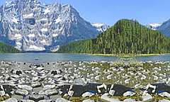Shadow Lake in TORONTO