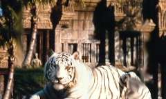 Metrozoo in Florida
