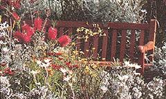 Mount Annan Botanic Garden in New South Wales