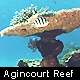 cairns- agincourt reef