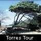 cairns-torres tour