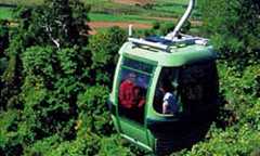 Skyrail Rainforest Cableway in Queensland
