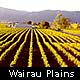 Blenheim City- Wairau Plains