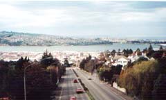 Dunedin City- Skyline