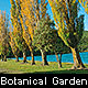 Invercargill City- Botonical garden