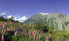 Mount Cook City- Mountain