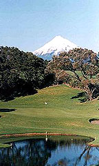 New Plymouth City- Mountain