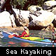 Nelson City- Sea kayaking