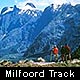 te anau - milfoorde track
