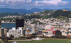 Wellington City- skyline