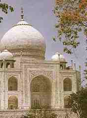 Taj Mahal - The Archview