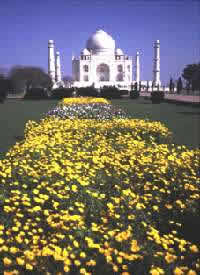 Taj Mahal - Garden Beside