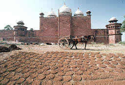 Taj Mahal 
