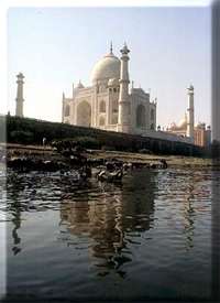 Taj Mahal 