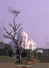 Taj Mahal - The Significant Tomb